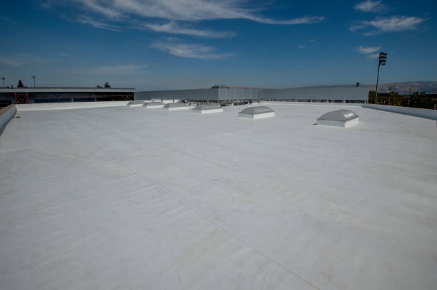 Best Solar Panel Roofing Installation  in Blandon, PA